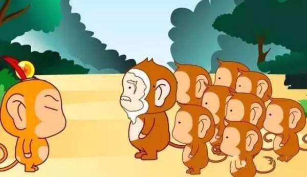 猴王吃瓜的道理,智慧与选择的寓言