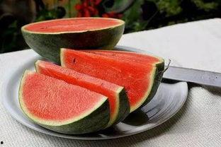 郑州某学校吃瓜,揭秘校园里的“瓜田”风云