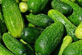 梦到别人吃圆瓜,揭秘梦中圆瓜的神秘寓意