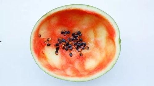 吃瓜勺子特效图片,趣味横生的视觉盛宴