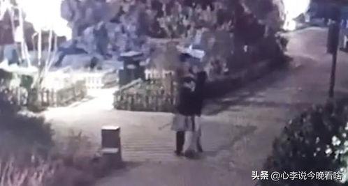 唐县吃瓜事件视频播放,视频曝光引发网友热议