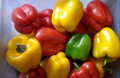 穷吃瓜子富吃瓜,财富变迁的趣味解读