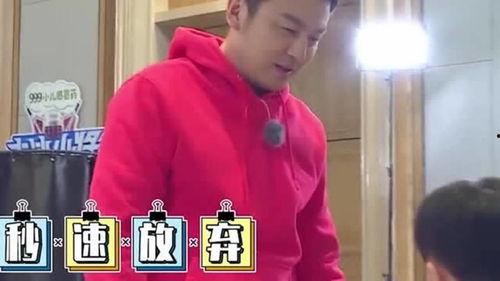 大冰哥吃瓜,揭秘娱乐圈幕后故事