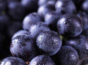 巨峰葡萄吃瓜,甜蜜瓜果中的葡萄之王