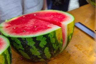 长春大学吃瓜近期,吃瓜群众热议事件全解析