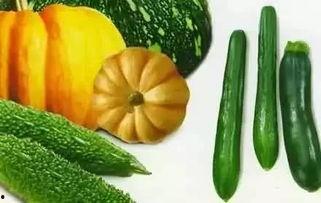 秋瓜能怎么吃,探索秋瓜的多样食用方式