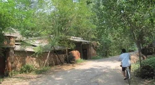 阳谷城镇吃瓜,消暑解渴，共享清凉时光