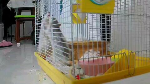 吃瓜群众打架斗嘴,吃瓜群众斗嘴风云录