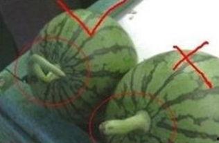 莱州吃瓜事件进展,最新进展与舆情追踪