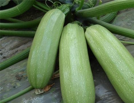 吃瓜吃多多,揭秘娱乐圈那些事儿