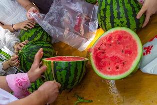 浙江吃瓜的视频,揭秘当地特色美食与风土人情