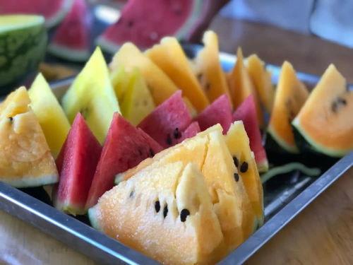 新商城吃瓜,揭秘网红美食背后的秘密