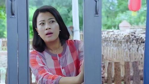 驻马店吃瓜刘温柔,揭秘瓜农背后的温情故事