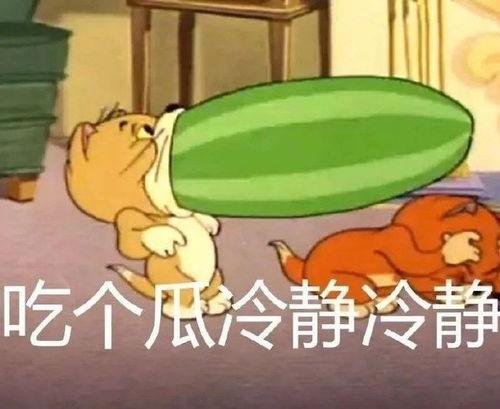 猫和老鼠吃冰瓜,一场冰凉夏日的趣味对决