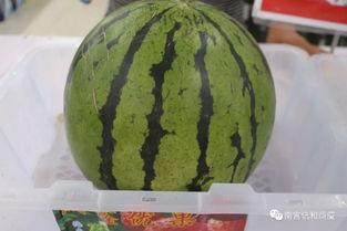 南宫雨轩吃瓜,揭秘娱乐圈幕后故事