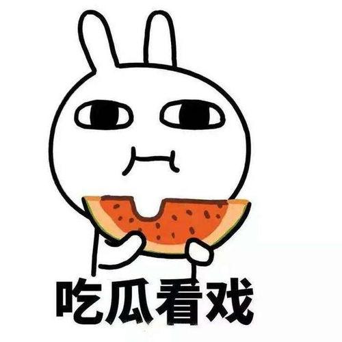 大早晨吃瓜群众,吃瓜群众的日常趣事