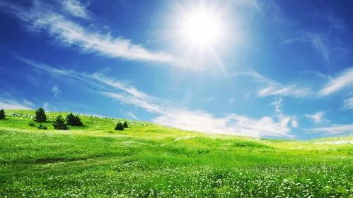 草地吃瓜拍照技巧,捕捉夏日悠闲时光