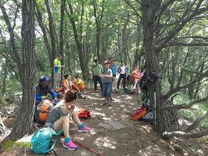 东莞爬山最新吃瓜,山间趣事一箩筐