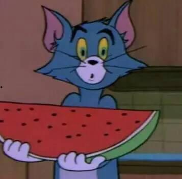 沙雕(吃瓜群众),揭秘娱乐圈幕后真相