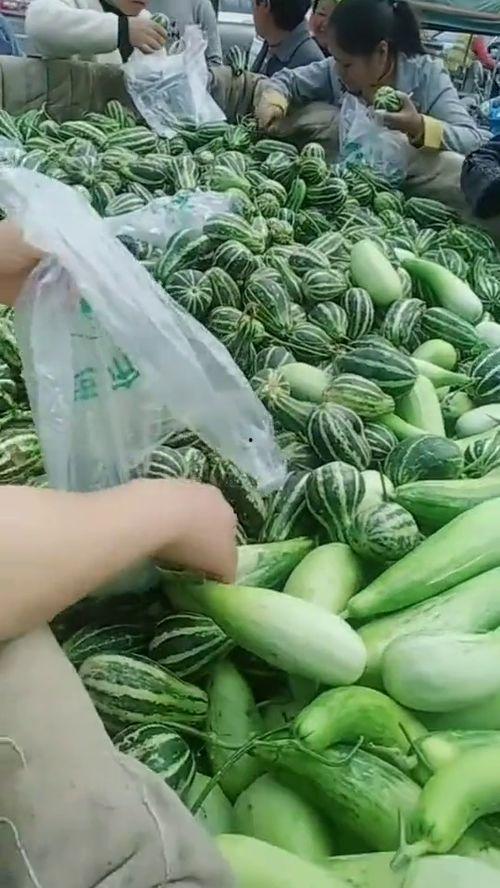 农民大叔吃瓜,瓜香四溢的乡村生活