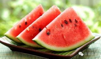 枣院吃瓜,揭秘校园里的那些“瓜”事