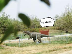 恐龙园过山龙吃瓜